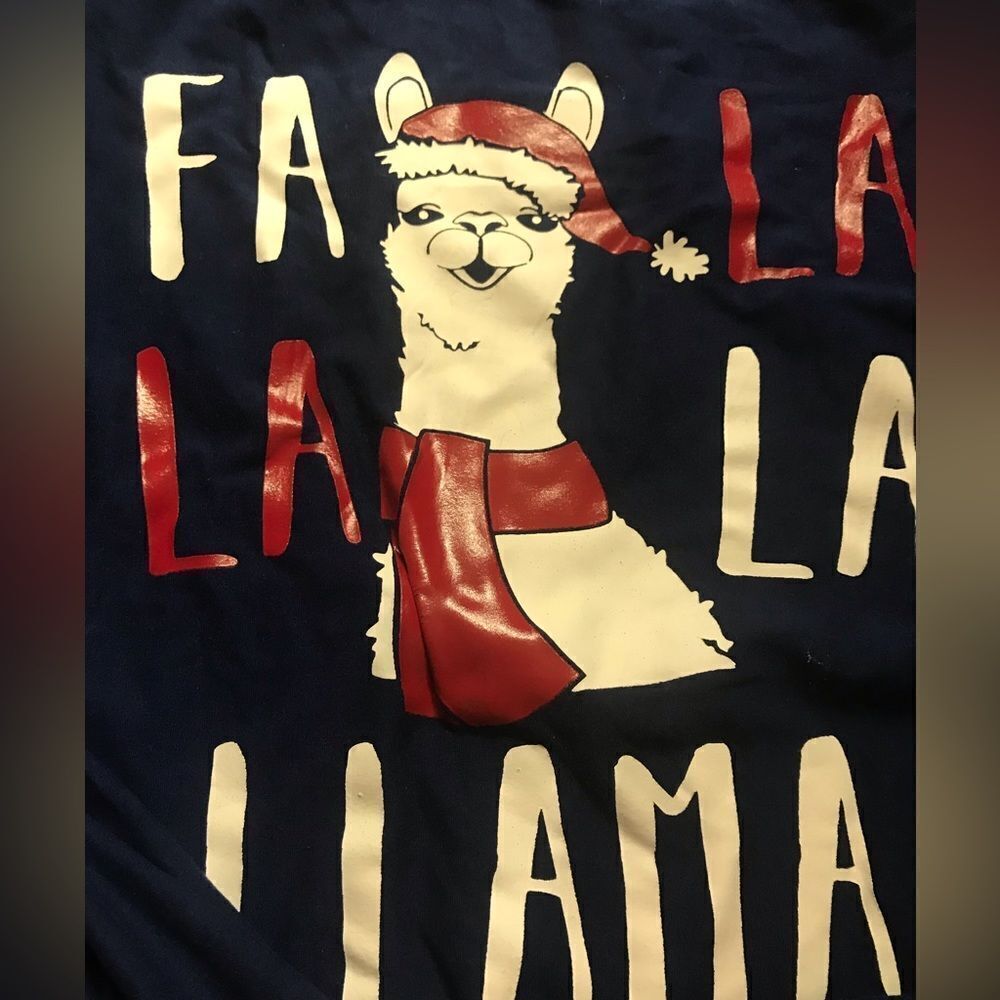 Merry wear size medium lama Christmas shirt like new excellent condition
